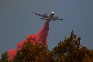 Kuzey Fransa'da Sahil Yangını: 1200 Kişi Tahliye Edildi