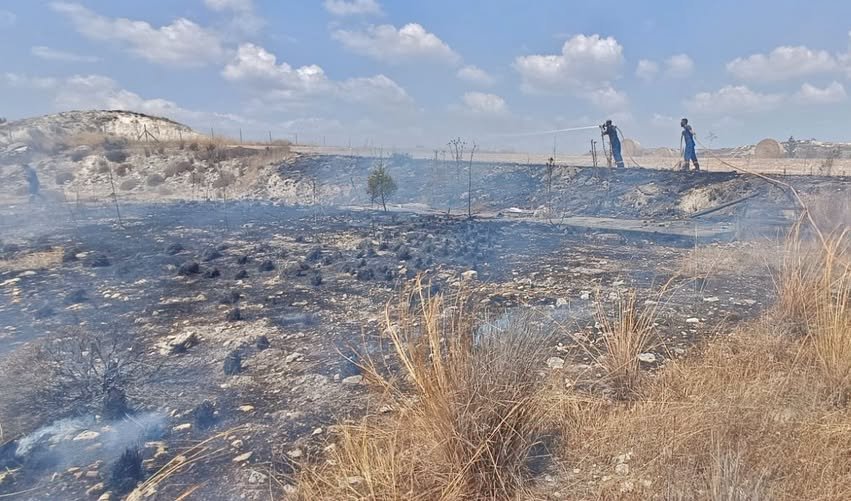 Rizoelia Kavşağındaki Yangın Büyümeden Söndürüldü