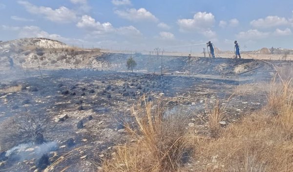 Rizoelia Kavşağındaki Yangın Büyümeden Söndürüldü