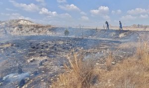Rizoelia Kavşağındaki Yangın Büyümeden Söndürüldü