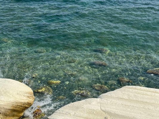Görüşümüz: Yetkililer denize dökülen lağım suları karşısında neden sessiz kalıyor?