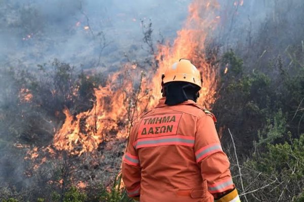 Larnaka'da Agia Anna Yakınlarında Yangın Çıktı