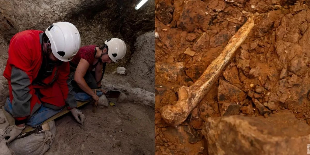 İspanya'da Homo Antecessor Fosillerinde Yamyamlık Kanıtları Bulundu