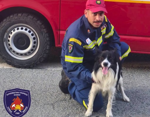 İtfaiye, Arama ve Kurtarma Köpeklerini Onurlandırdı