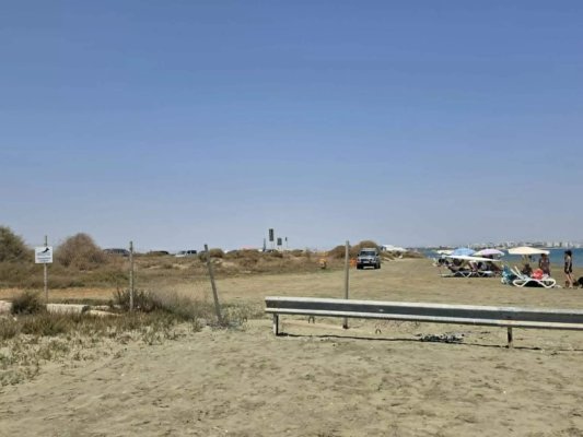Larnaca'da Köpeğiyle Plaja Giden Araçlara Erişim Kısıtlamalarına Karşı Çıkıldı