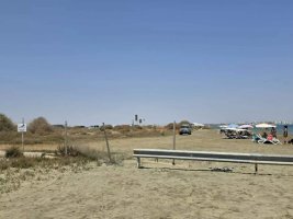 Larnaca'da Köpeğiyle Plaja Giden Araçlara Erişim Kısıtlamalarına Karşı Çıkıldı