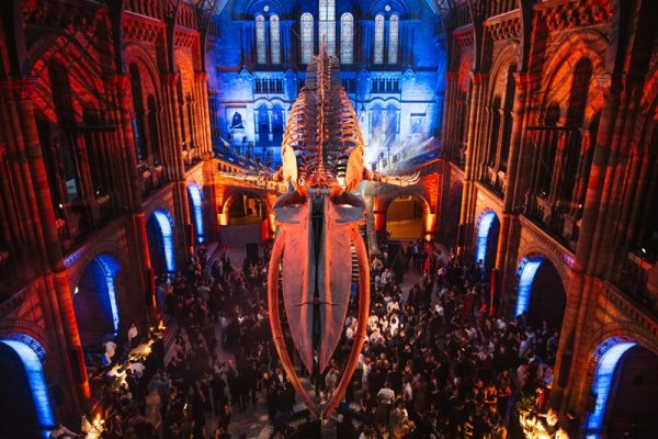 Capital.com 10. Yılını Londra'daki İkinci Şirket Haftası Etkinliğiyle Kutladı