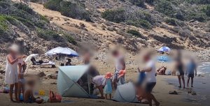 Lara Plajı'nda Deniz Kaplumbaşalarının Yuvaları Korunuyor