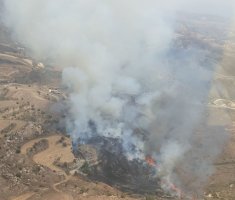Paphos'ta Çıkan Orman Yangını Kontrol Altına Alındı