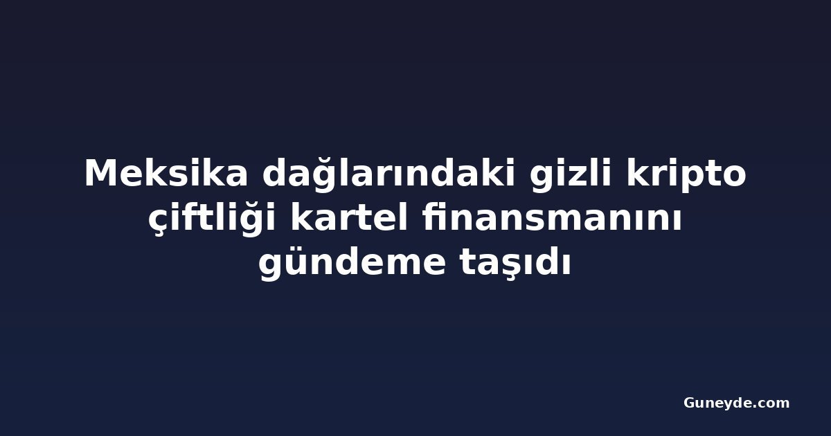 Meksika dağlarındaki gizli kripto çiftliği kartel finansmanını gündeme taşıdı