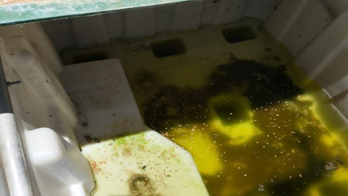 Batı Nil Virüsü Vakaları Artarken Kapı Kapı Sivrisinek Kontrolleri Genişliyor