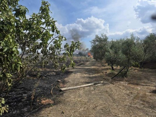 Anayia ve Klirou toplulukları arasında Lefkoşa ilçesinde yangın çıktı