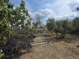 Anayia ve Klirou toplulukları arasında Lefkoşa ilçesinde yangın çıktı