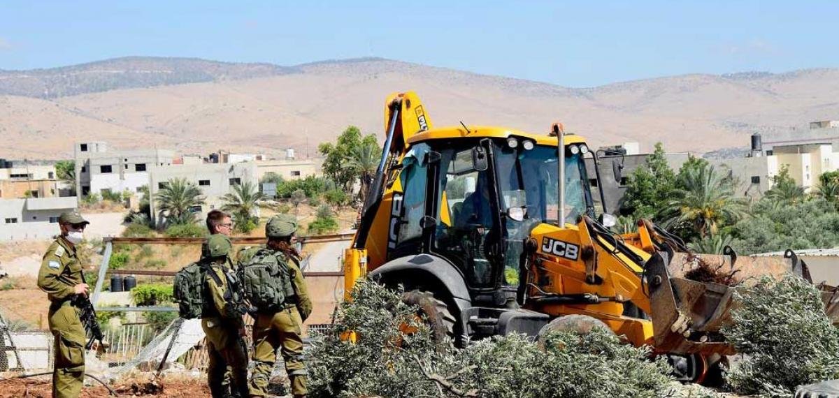 İsrail buldozerleri yıllık hasat öncesinde Filistinli zeytin ağaçlarını yıktı