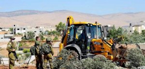İsrail buldozerleri yıllık hasat öncesinde Filistinli zeytin ağaçlarını yıktı