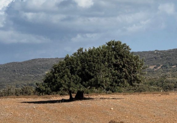 Bugünün hava durumu: bulutlu başlangıç, gün içinde açılması bekleniyor