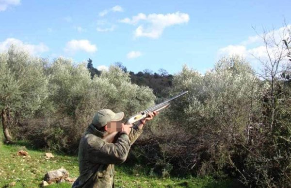 Milletvekillerine kaçak avcıların cezalarla caydırılamadığı bildirildi