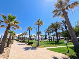 Kıbrıs Business Now: yakıt, denizcilik, RIF, turizm, yapay zeka, PwC, havalimanları