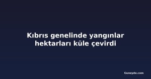 Kıbrıs genelinde yangınlar hektarları küle çevirdi