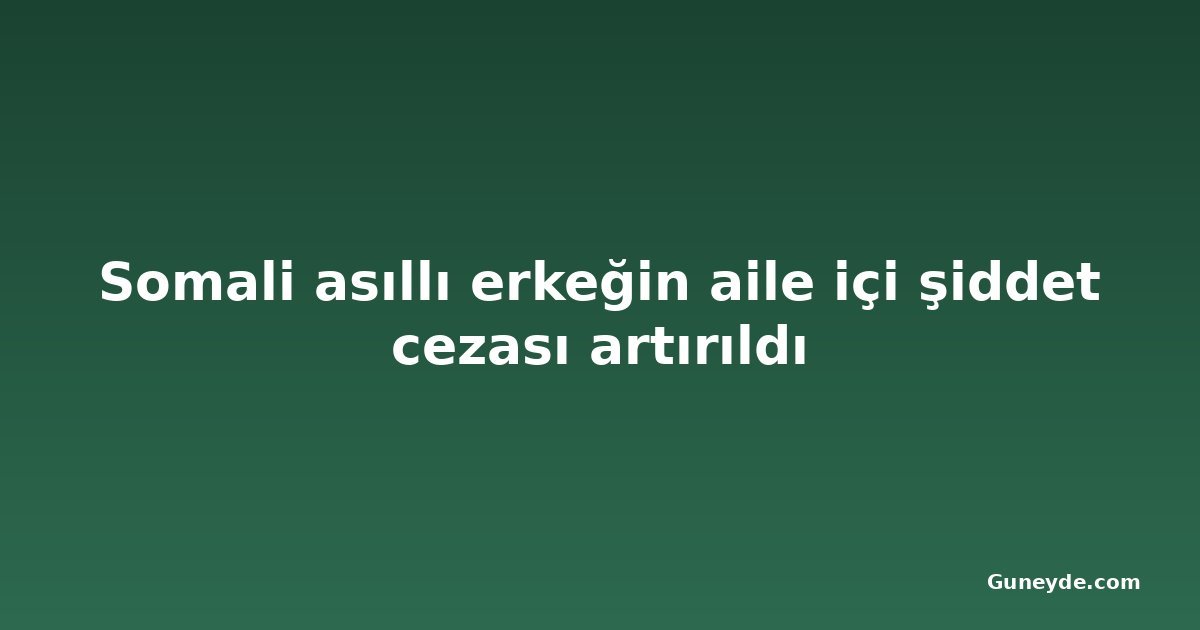 Somali asıllı erkeğin aile içi şiddet cezası artırıldı