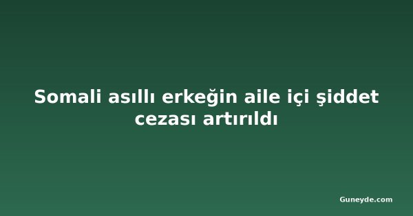 Somali asıllı erkeğin aile içi şiddet cezası artırıldı