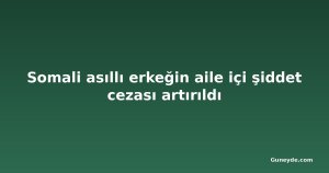 Somali asıllı erkeğin aile içi şiddet cezası artırıldı