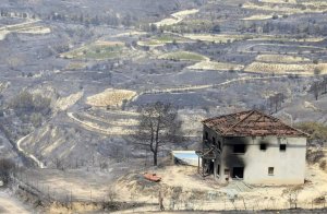 Ölümcül Limasol yangını tazminat başvurularının neredeyse dörtte biri reddedildi, bakan açıkladı