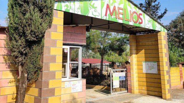 Melios Zoo yıkımı beklemede, hayvanların taşınma planı bekleniyor