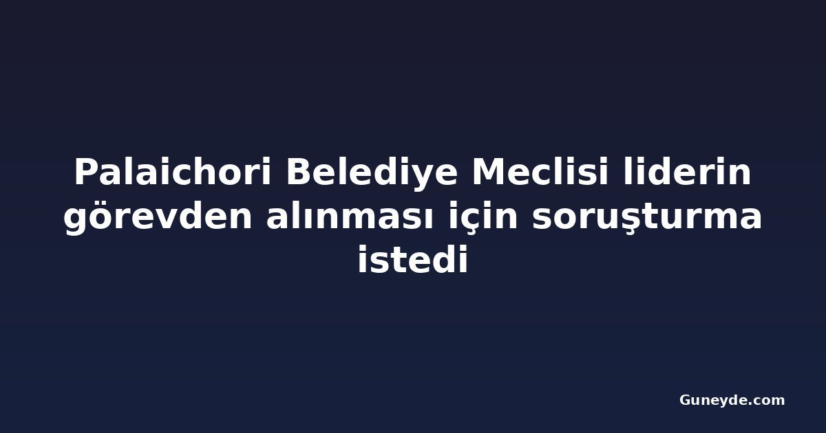 Palaichori Belediye Meclisi liderin görevden alınması için soruşturma istedi