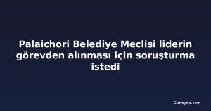 Palaichori Belediye Meclisi liderin görevden alınması için soruşturma istedi