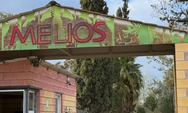 Melios Zoo'da ayının kaçması: Çevre Komiseri yargı kararlarının uygulanmasını istedi, işletme sahibi savunma yaptı