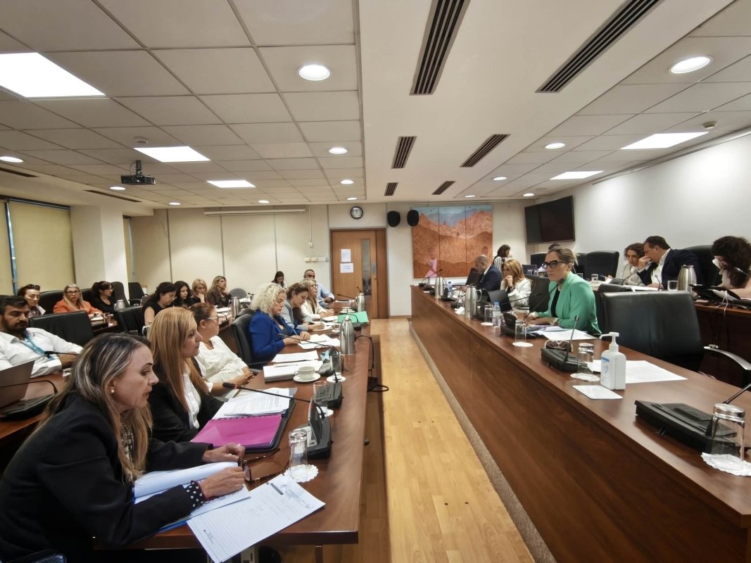 Çocukların işlediği kundaklamalar, soygunlar ve ciddi suçlar – sorunlar çok ama çözümlerde durgunluk tespit ediyor Meclis