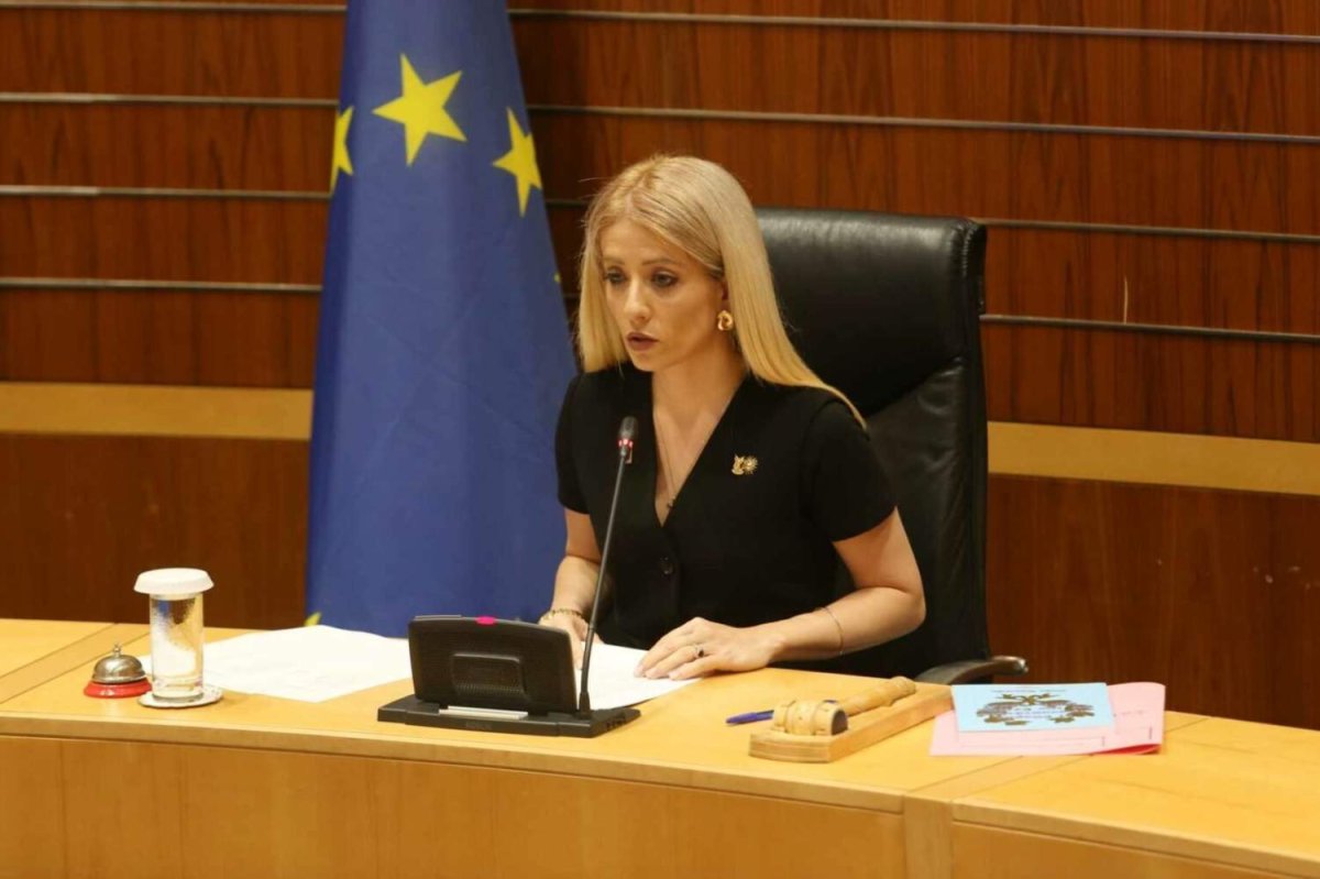 Meclis Başkanı Annita Demetriou, milletvekillerinin aile verilerinin yayımlanması üzerine soruşturma istedi