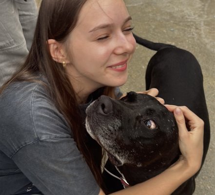 Barınak köpeklerine bir gün dışarı: Gönüllüler Limasol'da "Pawse for a Walk" etkinliği düzenliyor