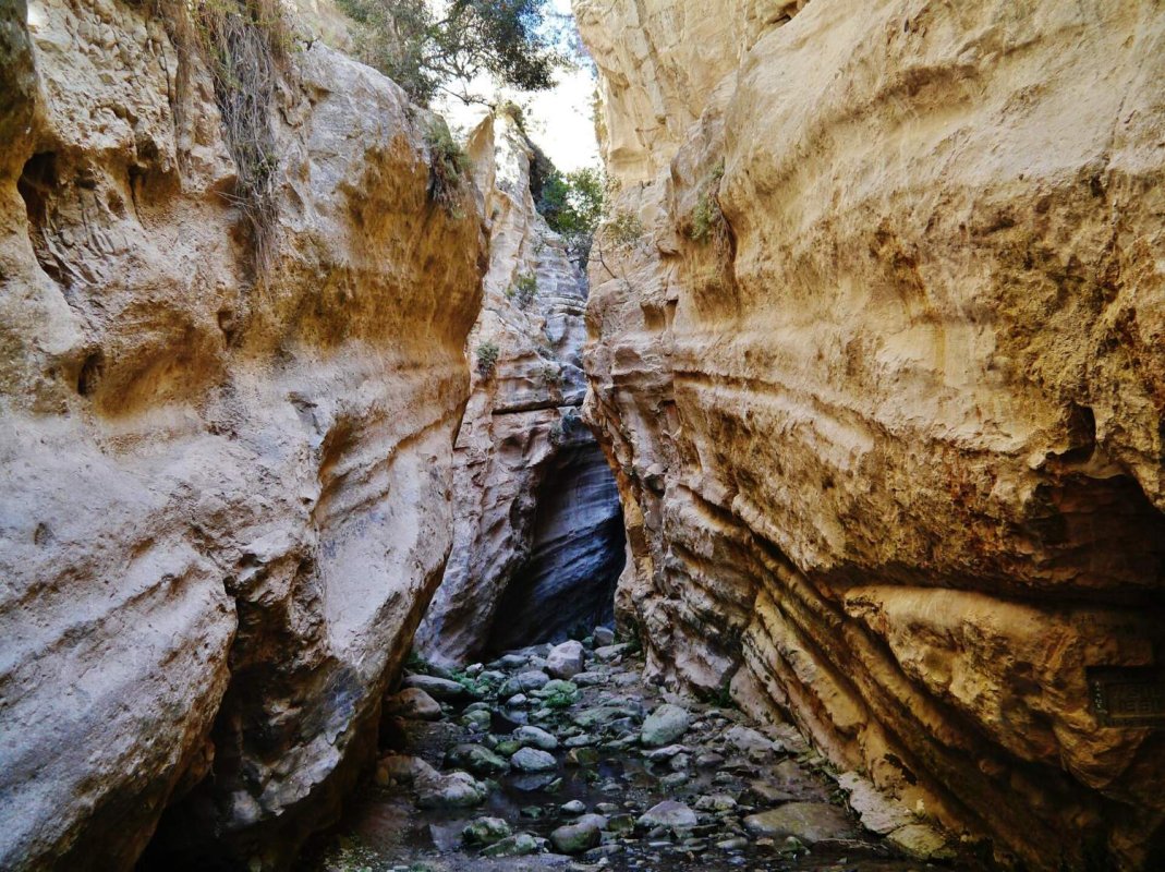 Avakas Kanyonu'nda sel suyuna mahsur kalan 6 turist polis tarafından kurtarıldı