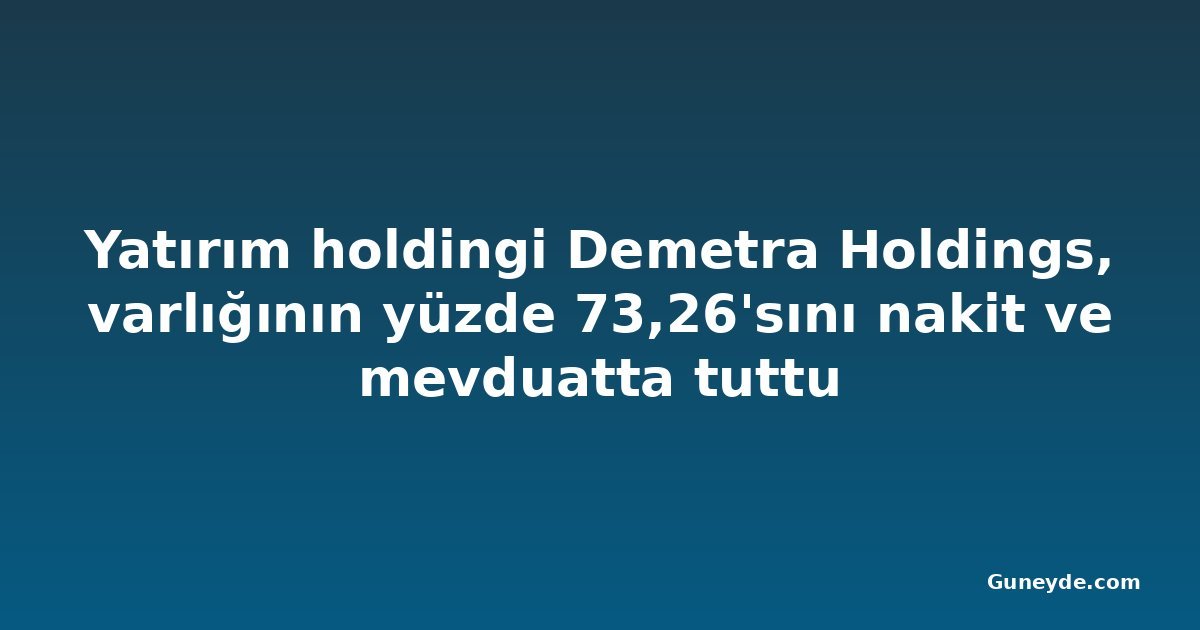 Yatırım holdingi Demetra Holdings, varlığının yüzde 73,26'sını nakit ve mevduatta tuttu