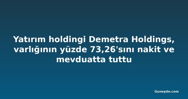 Yatırım holdingi Demetra Holdings, varlığının yüzde 73,26'sını nakit ve mevduatta tuttu