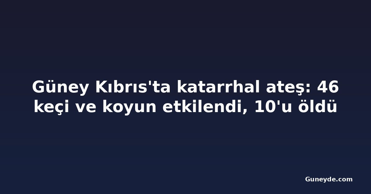 Güney Kıbrıs'ta katarrhal ateş: 46 keçi ve koyun etkilendi, 10'u öldü
