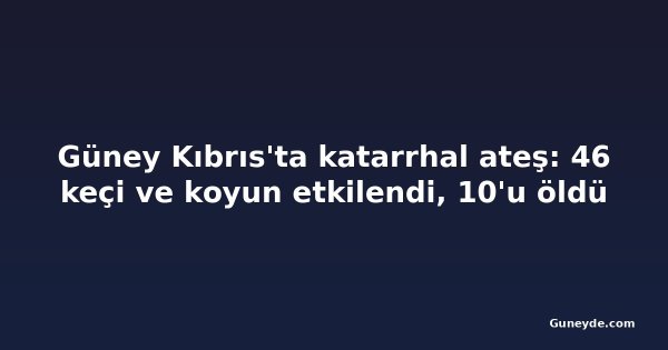 Güney Kıbrıs'ta katarrhal ateş: 46 keçi ve koyun etkilendi, 10'u öldü