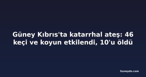 Güney Kıbrıs'ta katarrhal ateş: 46 keçi ve koyun etkilendi, 10'u öldü