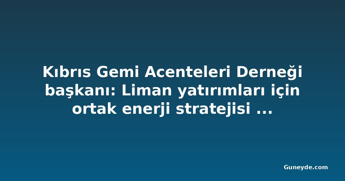Kıbrıs Gemi Acenteleri Derneği başkanı: Liman yatırımları için ortak enerji stratejisi şart