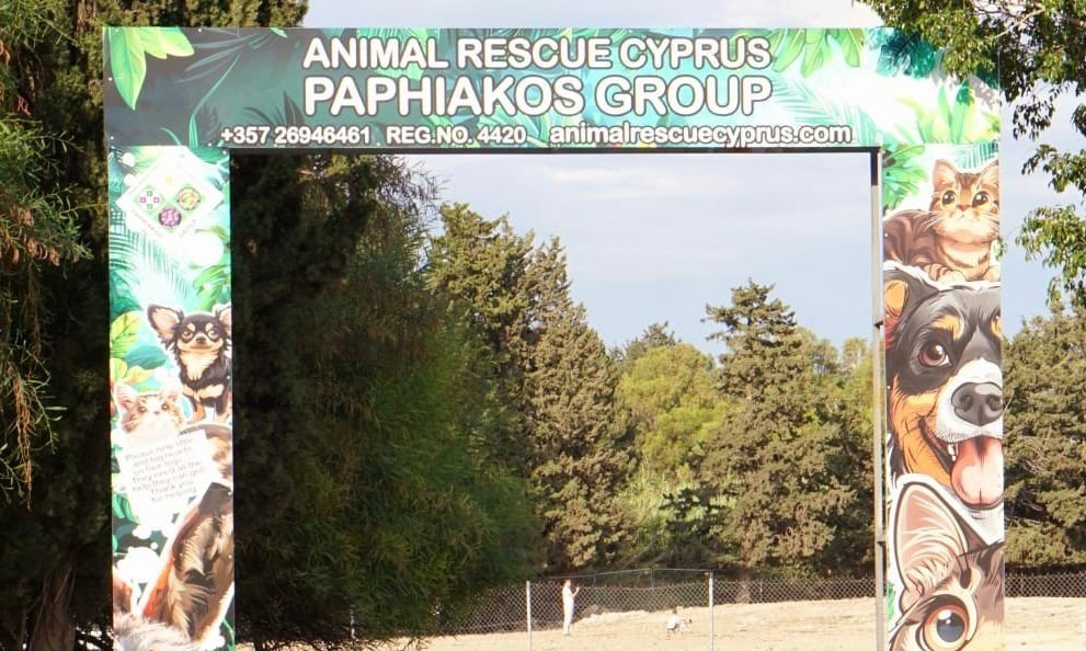 Pafos'taki yeni sokak hayvanları barınağında süreç hızlandı: Açılış 2027'de bekleniyor