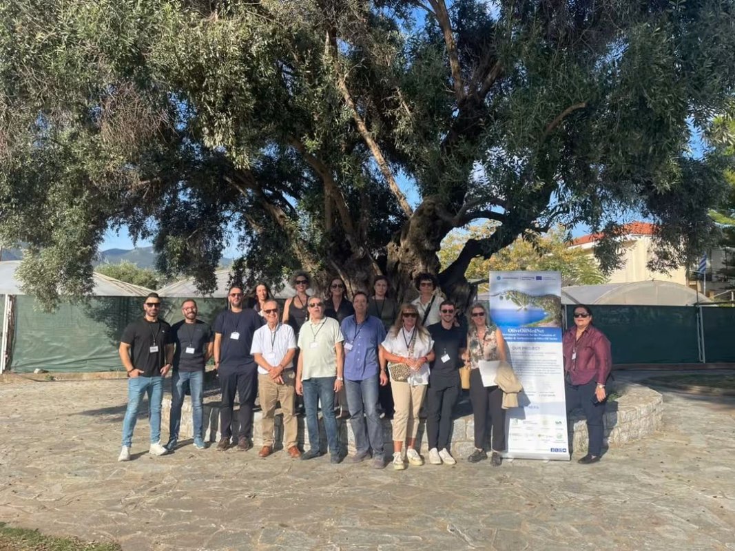 Pafos Ticaret ve Sanayi Odası, OliveOilMedNet projesinin Kalamata'daki kapanış toplantısına katıldı