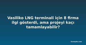Vasiliko LNG terminali için 8 firma ilgi gösterdi, ama projeyi kaçı tamamlayabilir?