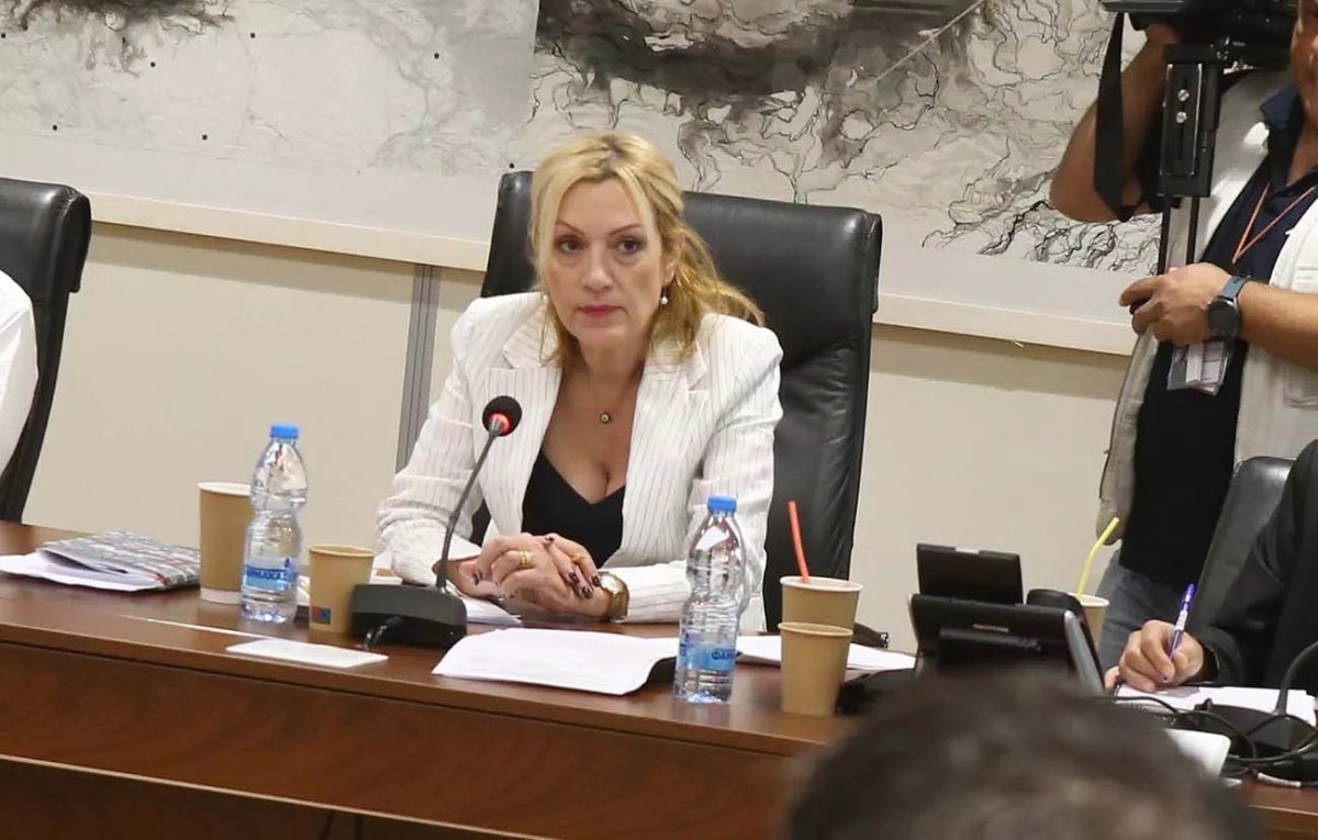 ALMA Partisi'nden Irene Charalambides: Meclis, milletvekillerinin eş ve çocuklarına ait verileri yasa dışı yayımladı