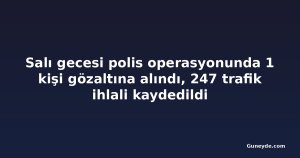 Salı gecesi polis operasyonunda 1 kişi gözaltına alındı, 247 trafik ihlali kaydedildi