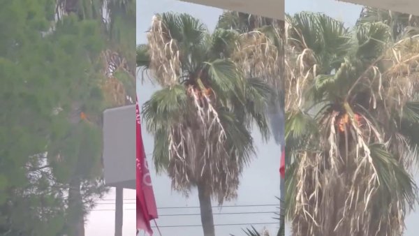 Pafos'ta yıldırım palmiye ağacını vurdu, ağacın alevlere teslim olma anı kameraya yansıdı