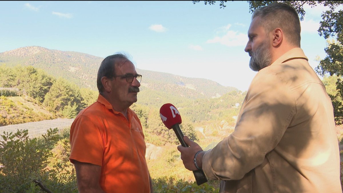 Yangınlara çare üzüm bağları: Troodos çevresinde arazilerin terk edilmesi yeni felaket riskini artırıyor