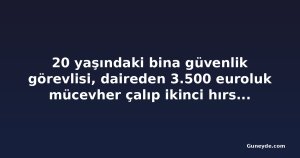 20 yaşındaki bina güvenlik görevlisi, daireden 3.500 euroluk mücevher çalıp ikinci hırsızlığı da kabul etti