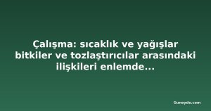 Çalışma: sıcaklık ve yağışlar bitkiler ve tozlaştırıcılar arasındaki ilişkileri enlemden daha iyi açıklıyor